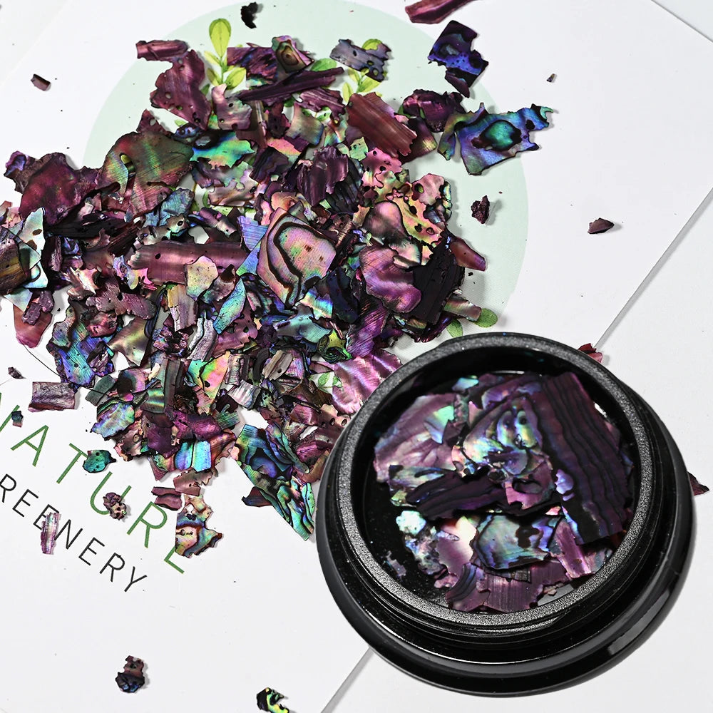 Natural Abalone Shell Slices Nail Art Decorations 3D Irregular Sea Shell Stone Flakes Aurora Charms Fragment Nails Accessories