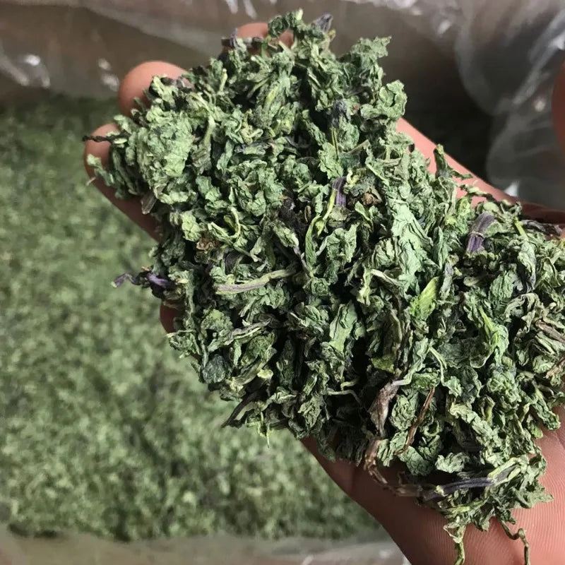 Good Quality Natural Dried Mint Leaf For Sachet Pillow Filling Beauty Health Soap Perfume Making Candle Material Supply 500g