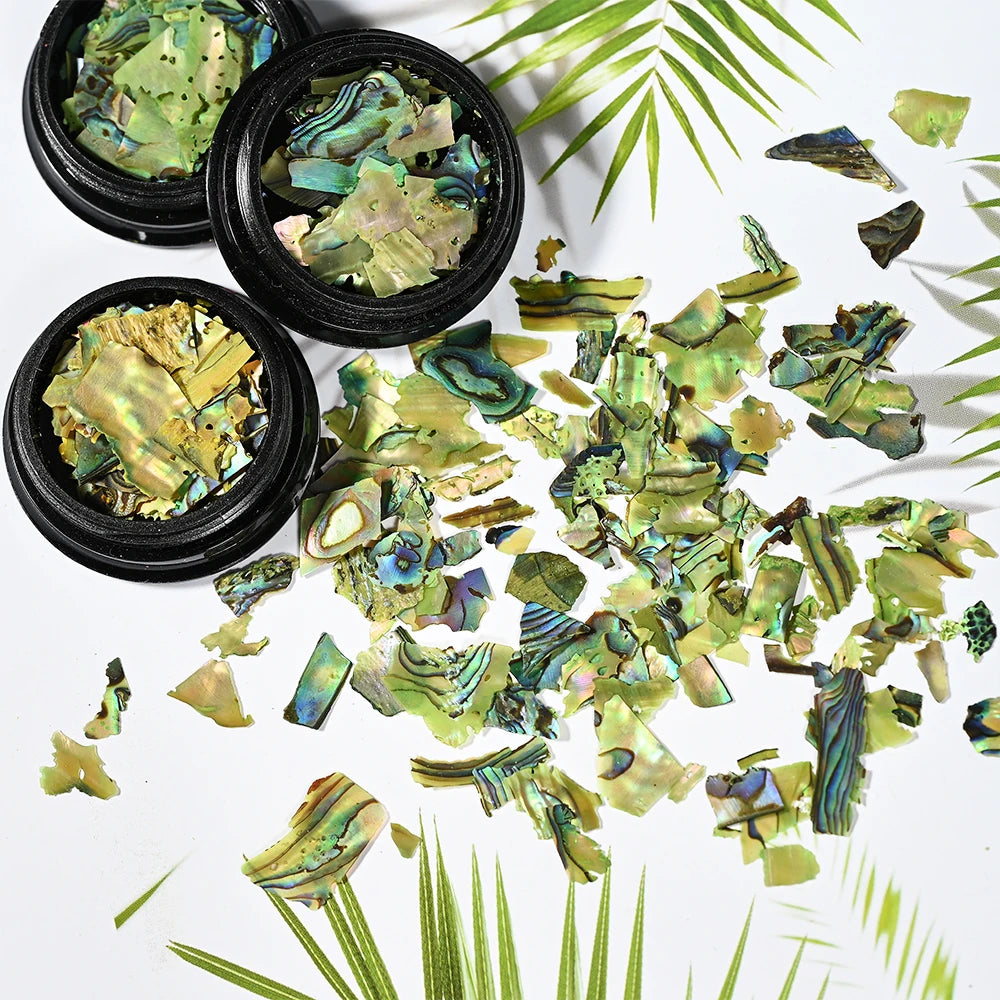 Natural Abalone Shell Slices Nail Art Decorations 3D Irregular Sea Shell Stone Flakes Aurora Charms Fragment Nails Accessories