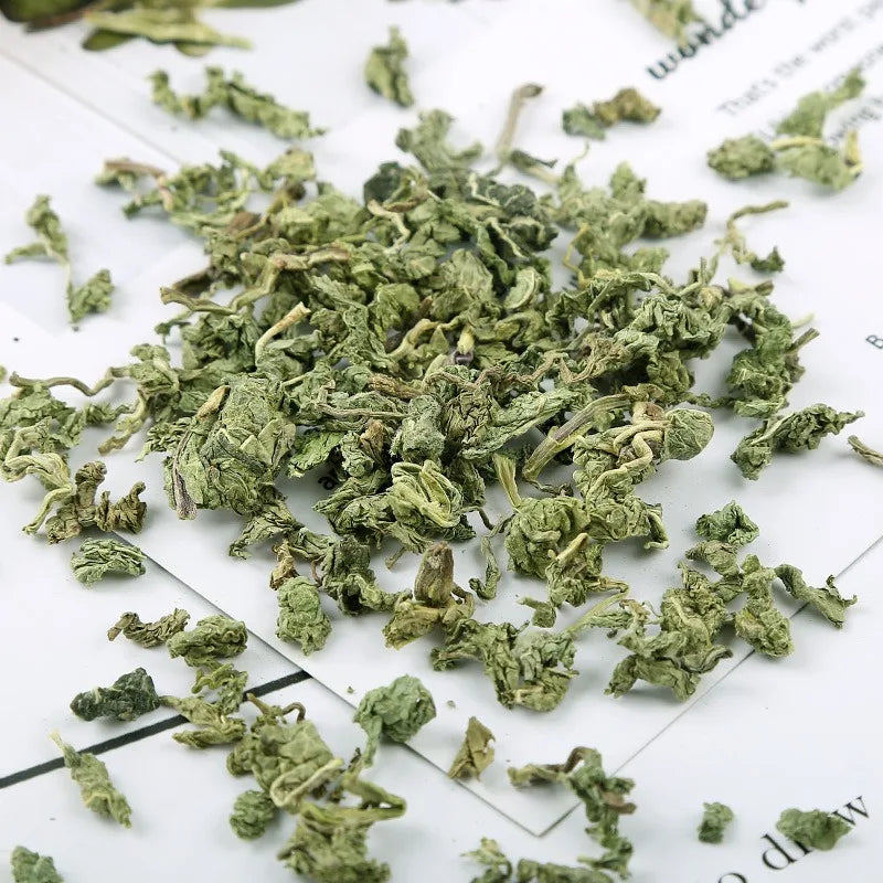 Good Quality Natural Dried Mint Leaf For Sachet Pillow Filling Beauty Health Soap Perfume Making Candle Material Supply 500g