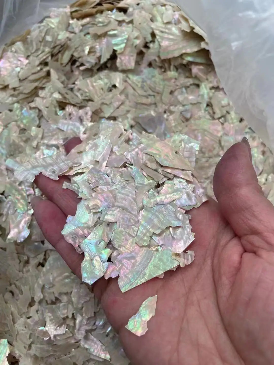 Natural Abalone Shell Slices Nail Art Decorations 3D Irregular Sea Shell Stone Flakes Aurora Charms Fragment Nails Accessories