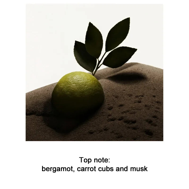 Men's Perfume 100ML Ebony Men Sandalwood Perfume Spray Flirting Pheromone Long Lasting