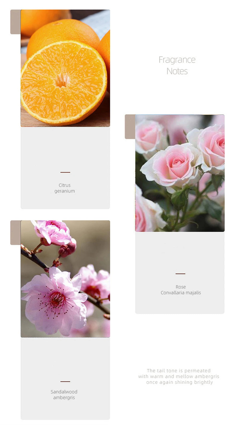 Fantasy Gilded Sands Perfume Women 50ml Club De Nuit Perfumes De Mujer Stylish Presented Parfum Femme Durable Sweet Floral Spray