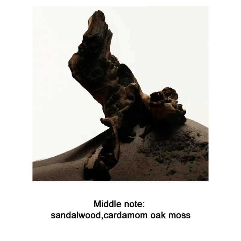 Men's Perfume 100ML Ebony Men Sandalwood Perfume Spray Flirting Pheromone Long Lasting