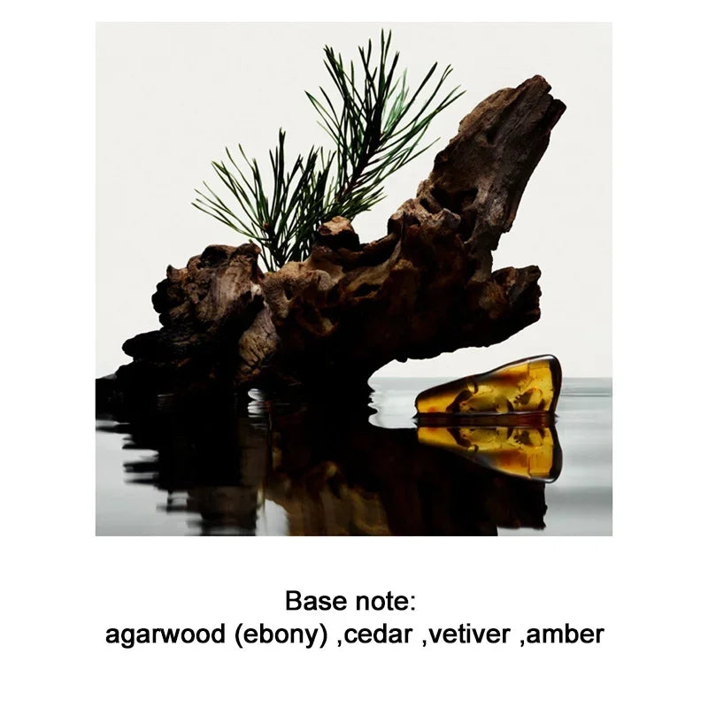 Men's Perfume 100ML Ebony Men Sandalwood Perfume Spray Flirting Pheromone Long Lasting